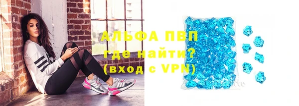 тгк Бердск